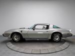 Pontiac Firebird Trans Am 6.6 L80 10th Anniversary Edition 1979 года